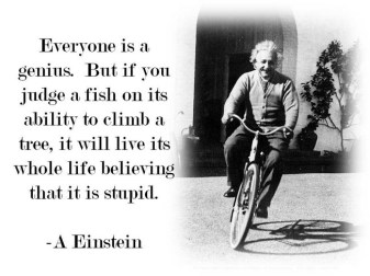 genius-quote-albert-einstein